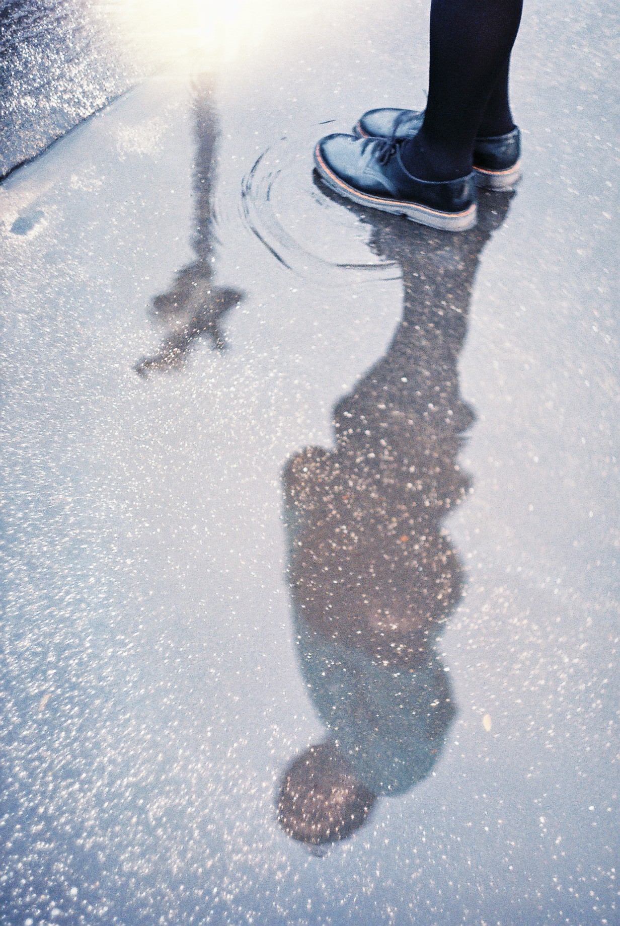Reflet dans une flaque d'eau